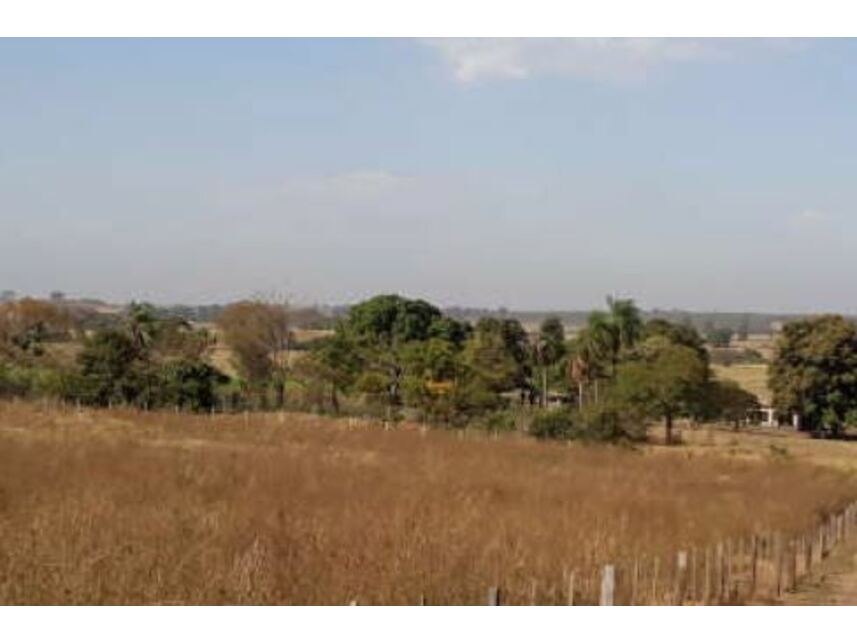 Imagem 2 do Leilão de Área Rural - Córrego da Porteira - Urânia/SP