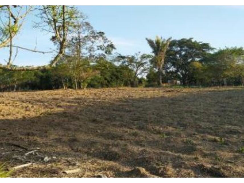 Imagem 4 do Leilão de Terreno - Planalto - Ibirapuã/BA
