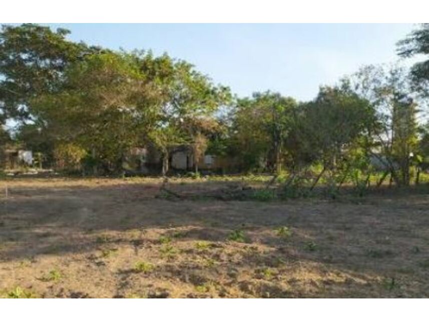 Imagem 2 do Leilão de Terreno - Planalto - Ibirapuã/BA
