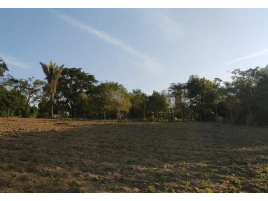 Imagem 1 do Leilão de Terreno - Planalto - Ibirapuã/BA