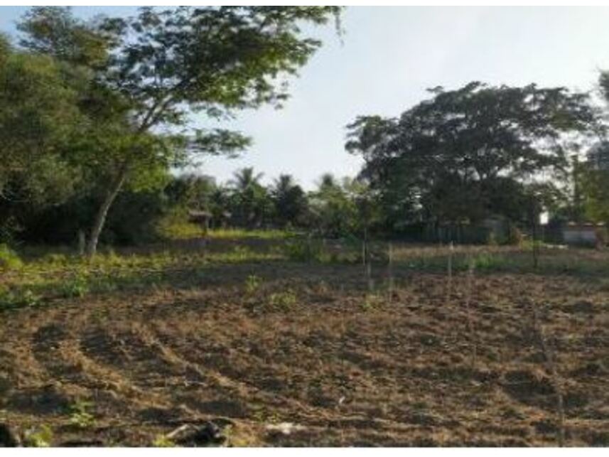 Imagem 5 do Leilão de Terreno - Planalto - Ibirapuã/BA