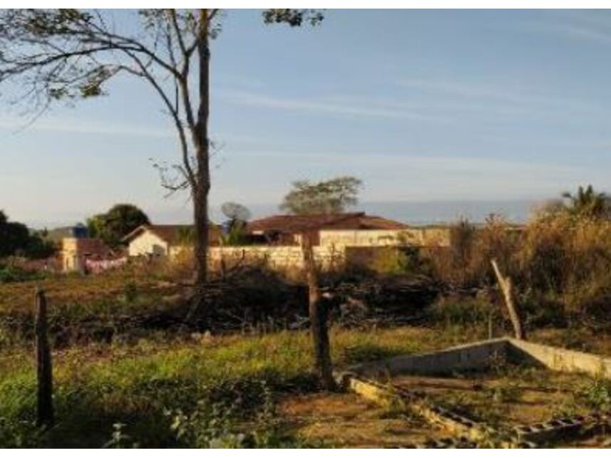 Imagem 6 do Leilão de Terreno - Planalto - Ibirapuã/BA