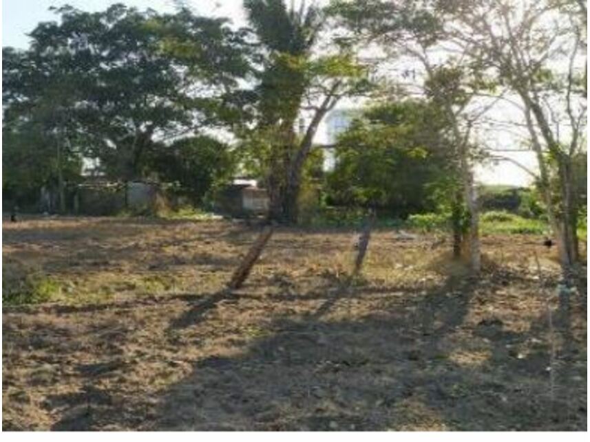 Imagem 3 do Leilão de Terreno - Planalto - Ibirapuã/BA