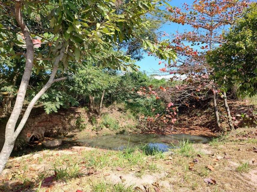 Imagem 7 do Leilão de Terreno - Granja dos Cavaleiros - Macaé/RJ