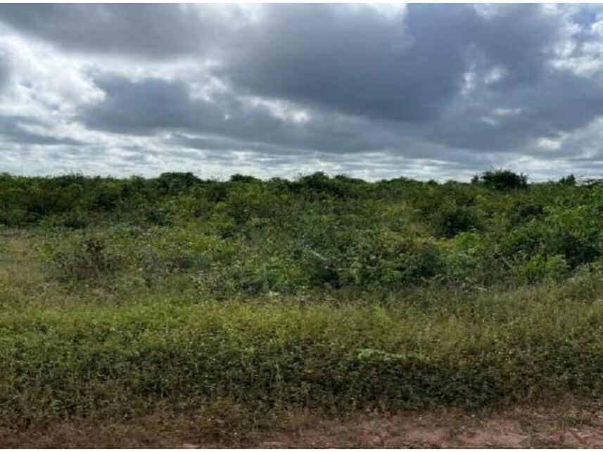 Imagem 1 do Leilão de Terreno - Areal - Chapadinha/MA
