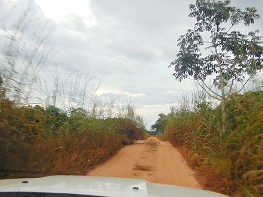Imagem 3 do Leilão de Área Rural - Cocalinho - Barra do Garças/MT
