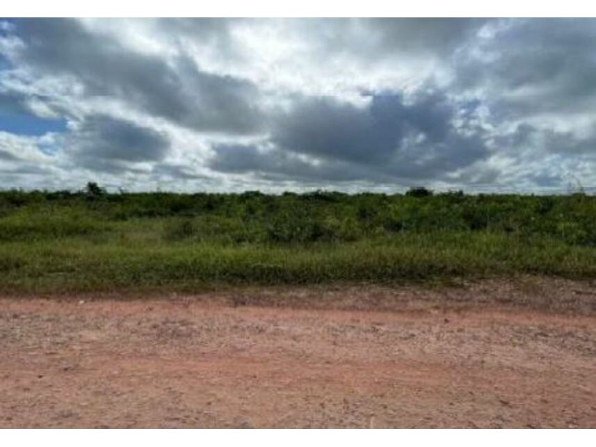 Imagem 3 do Leilão de Terreno - Areal - Chapadinha/MA