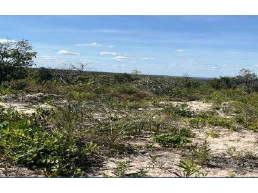 Imagem 3 do Leilão de Área Rural - Zona Rural - Cocos/BA