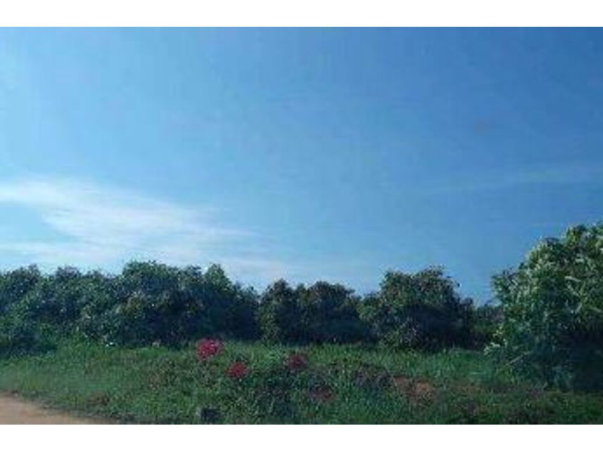 Imagem 4 do Leilão de Área Rural - Zona Rural - Monte Santo de Minas/MG