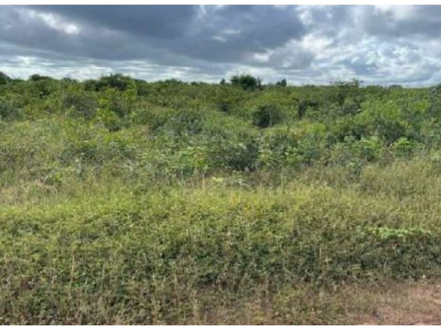 Imagem 2 do Leilão de Terreno - Areal - Chapadinha/MA