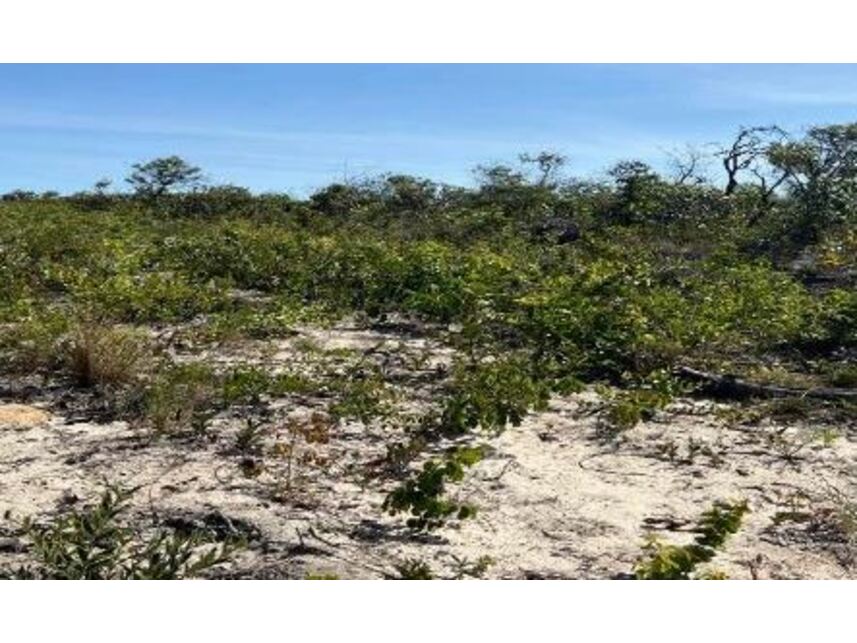 Imagem 6 do Leilão de Área Rural - Zona Rural - Cocos/BA