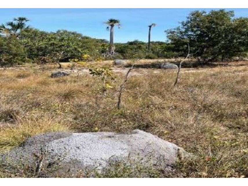 Imagem 9 do Leilão de Área Rural - Zona Rural - Cocos/BA