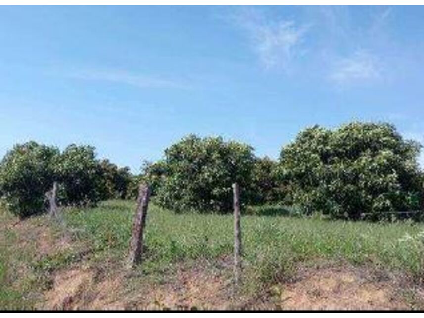 Imagem 7 do Leilão de Área Rural - Zona Rural - Monte Santo de Minas/MG