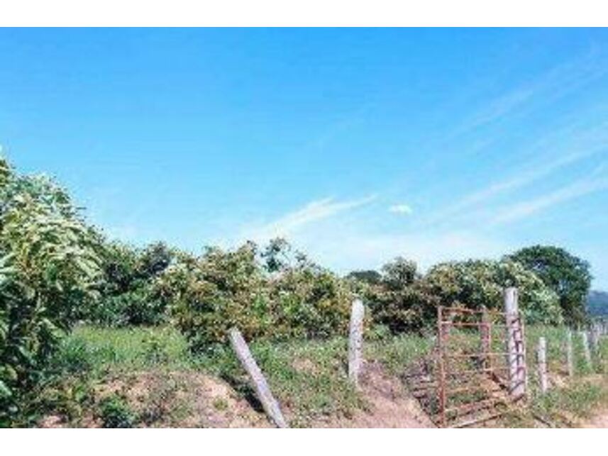 Imagem 5 do Leilão de Área Rural - Zona Rural - Monte Santo de Minas/MG