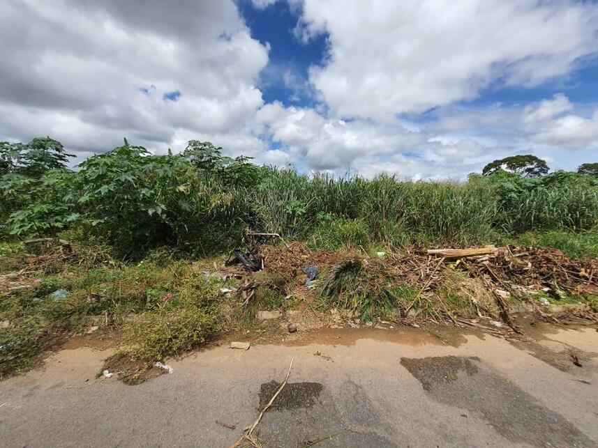 Imagem 18 do Leilão de Terreno - Parque Estrela Dalva Ix - Luziânia/GO
