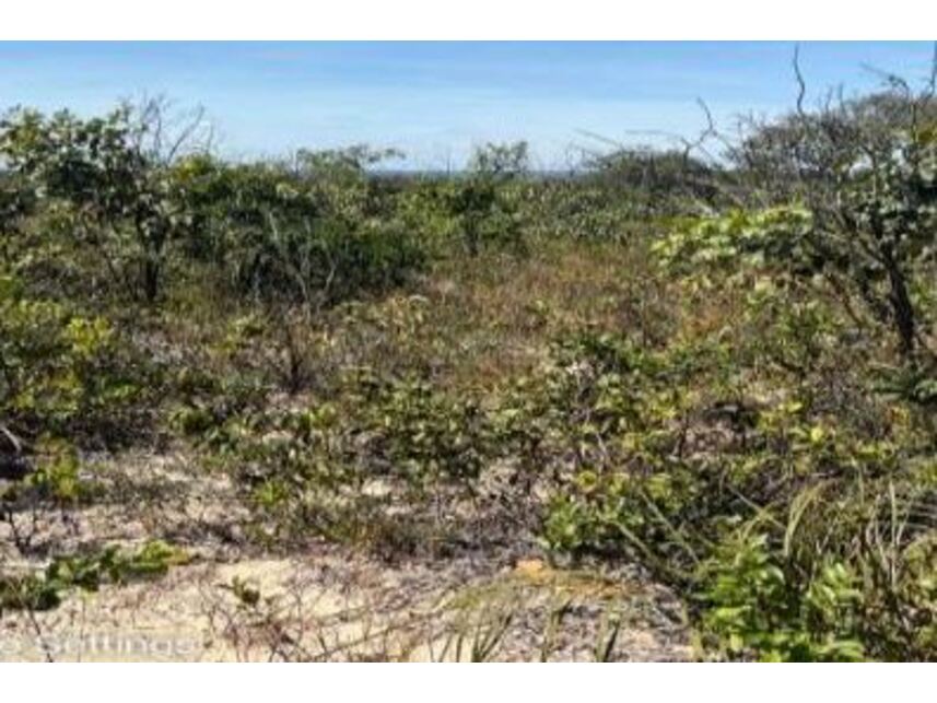 Imagem 7 do Leilão de Área Rural - Zona Rural - Cocos/BA