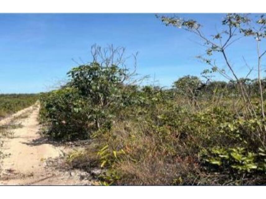 Imagem 5 do Leilão de Área Rural - Zona Rural - Cocos/BA