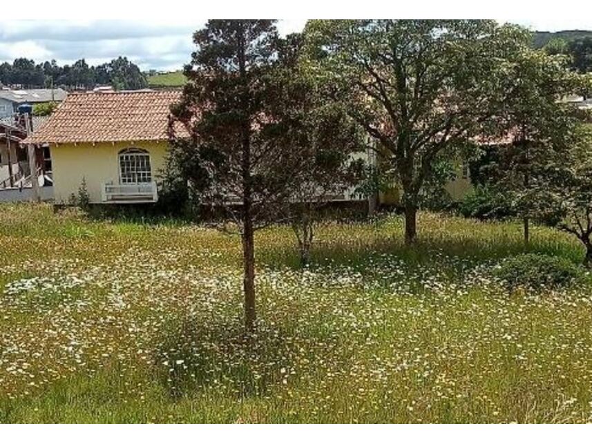 Imagem 2 do Leilão de Casa - Centro - São Joaquim/SC