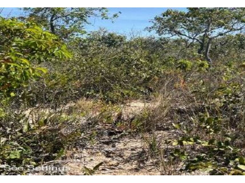 Imagem 2 do Leilão de Área Rural - Zona Rural - Cocos/BA