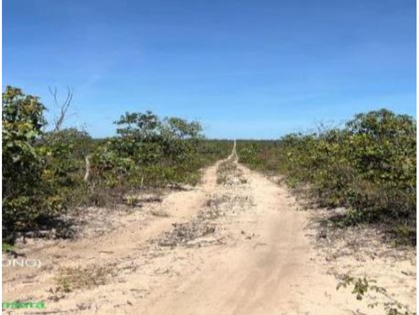 Imagem 4 do Leilão de Área Rural - Zona Rural - Cocos/BA