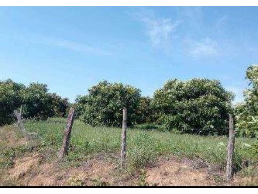 Imagem 8 do Leilão de Área Rural - Zona Rural - Monte Santo de Minas/MG