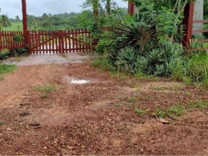 Imagem 2 do Leilão de Área Rural - Curralinho - Macaíba/RN