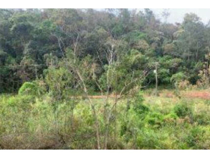 Imagem 9 do Leilão de Gleba de Terras - Caioçara - Jarinu/SP