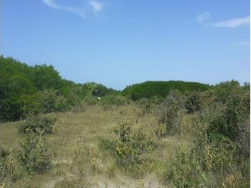 Imagem 1 do Leilão de Terreno - Brisa do Pontal - Fortim/CE