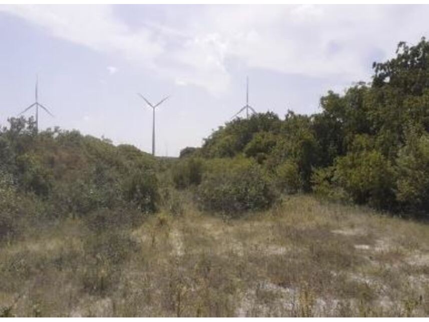 Imagem 5 do Leilão de Terreno - Brisa do Pontal - Fortim/CE