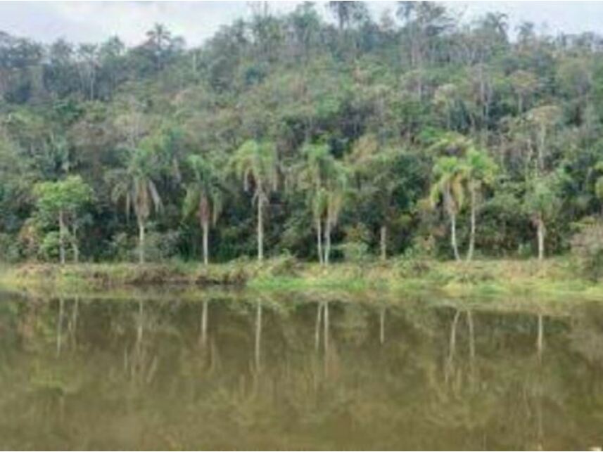 Imagem 6 do Leilão de Gleba de Terras - Caioçara - Jarinu/SP