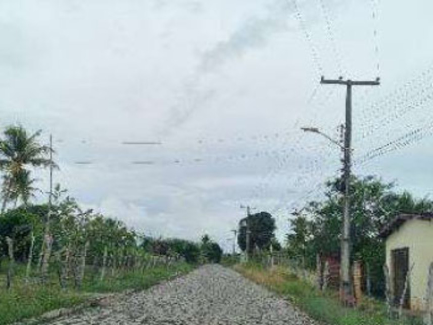 Imagem 4 do Leilão de Área Rural - Curralinho - Macaíba/RN