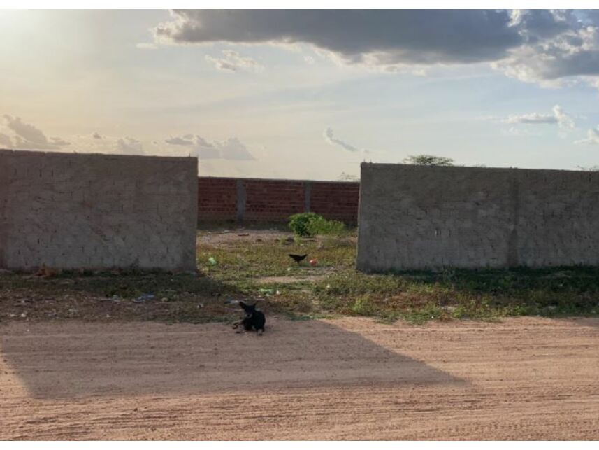 Imagem do Leilão de Terreno - Curral Novo - Águas Belas/PE