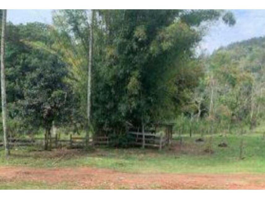 Imagem 8 do Leilão de Gleba de Terras - Caioçara - Jarinu/SP