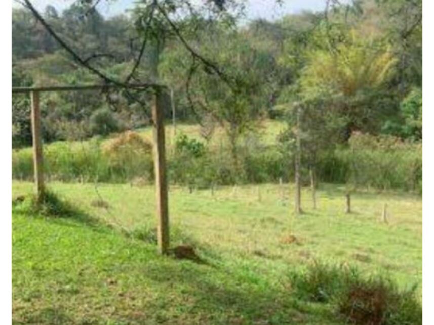 Imagem 23 do Leilão de Gleba de Terras - Caioçara - Jarinu/SP
