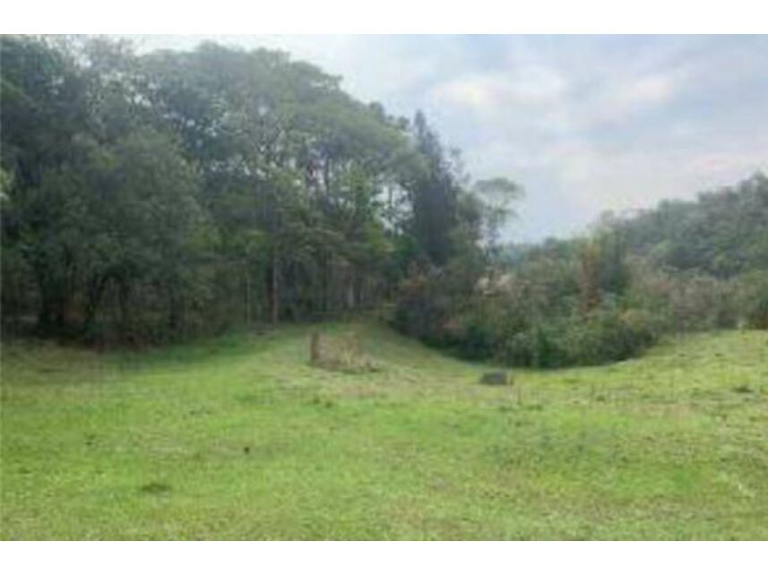 Imagem 26 do Leilão de Gleba de Terras - Caioçara - Jarinu/SP