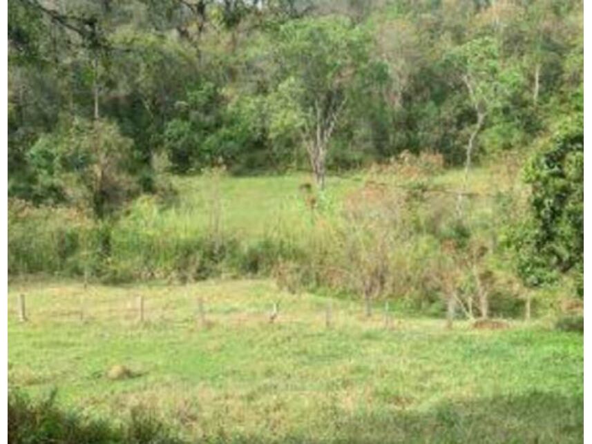Imagem 22 do Leilão de Gleba de Terras - Caioçara - Jarinu/SP