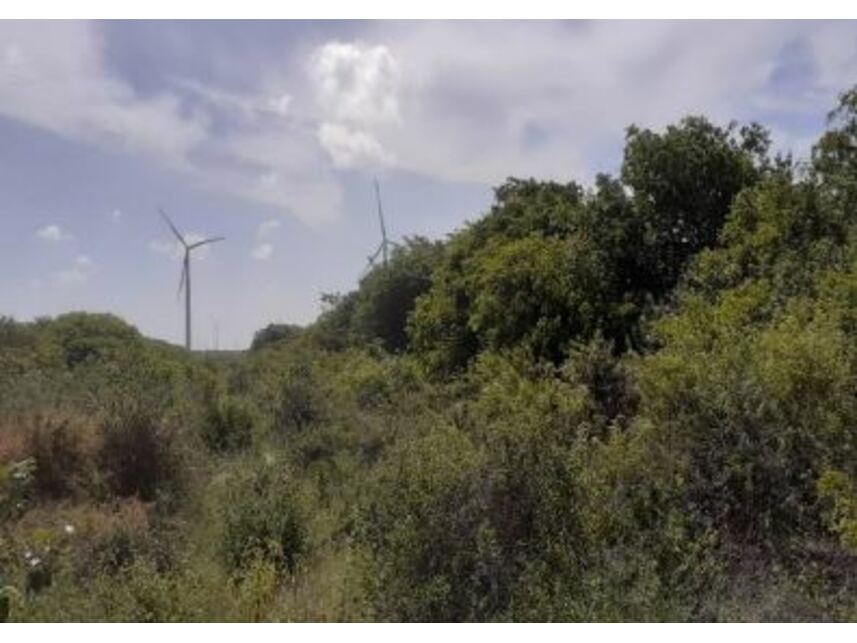 Imagem 3 do Leilão de Terreno - Brisa do Pontal - Fortim/CE