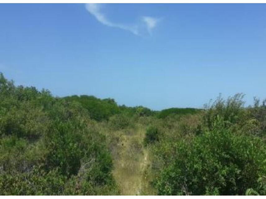 Imagem 4 do Leilão de Terreno - Brisa do Pontal - Fortim/CE