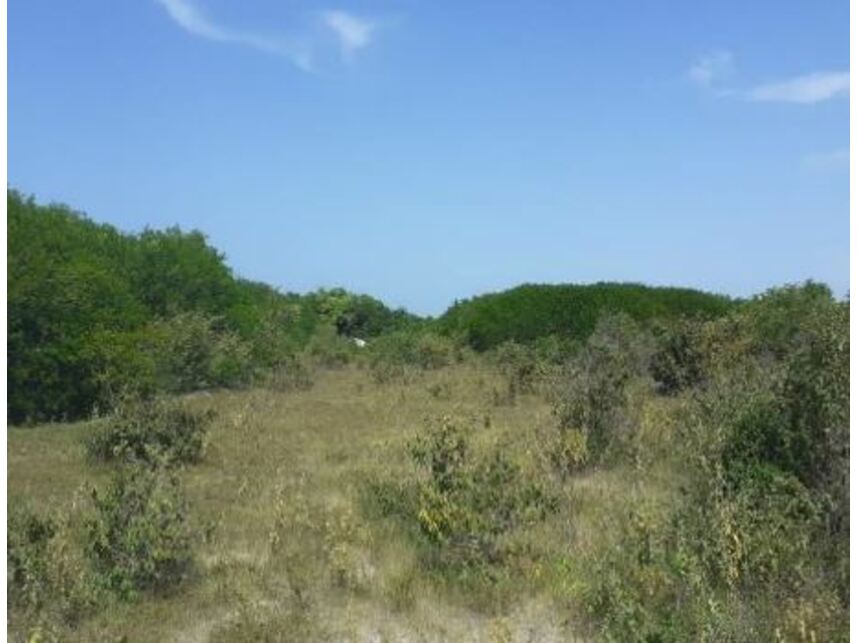Imagem 1 do Leilão de Terreno - Bravim - Fortim/CE