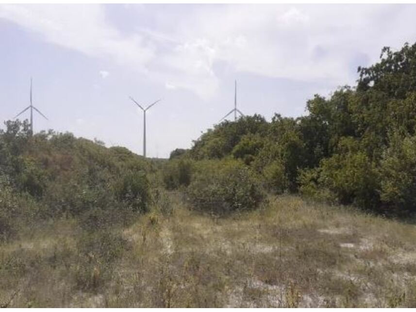 Imagem 3 do Leilão de Terreno - Bravim - Fortim/CE
