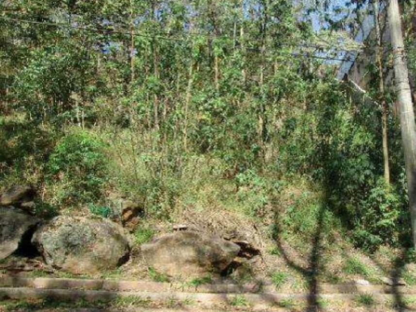 Imagem  do Leilão de Terreno - Moinho Velho - Embu das Artes/SP