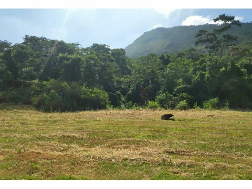 Imagem  do Leilão de Terreno - Condomínio Residencial Pedra do Vale Pilar - Maricá/RJ