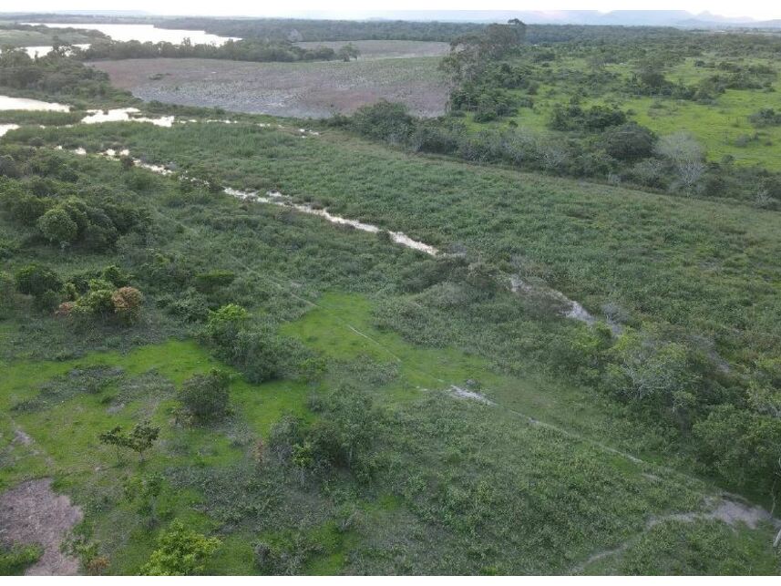 Imagem 7 do Leilão de Terreno - Área Rural - Campos dos Goytacazes/RJ