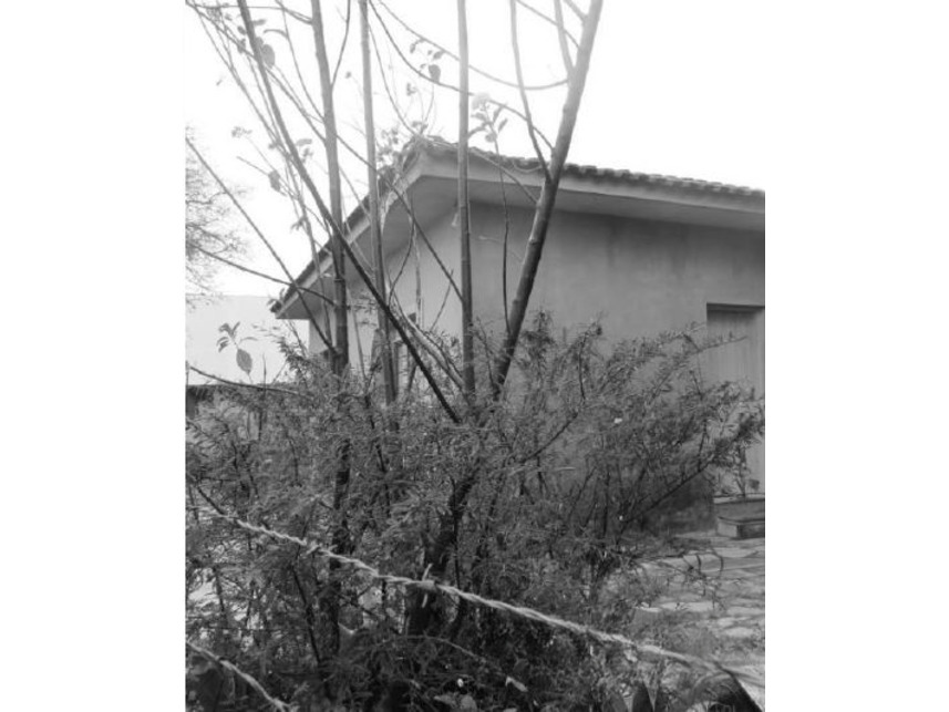 Imagem 3 do Leilão de Casa - Parque das Árvores - Franca/SP