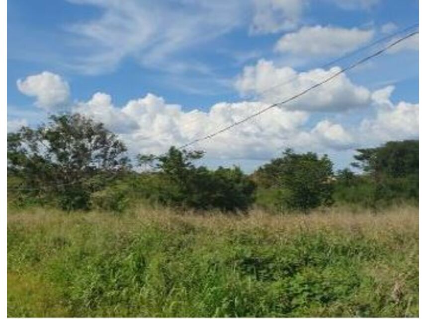 Imagem 5 do Leilão de Terreno - Centro - Ourilândia do Norte/PA