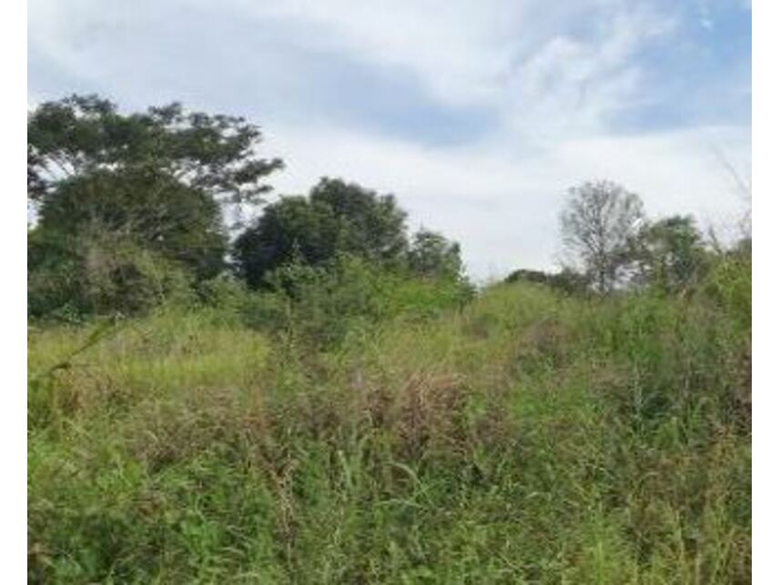 Imagem 3 do Leilão de Terreno - Centro - Ourilândia do Norte/PA