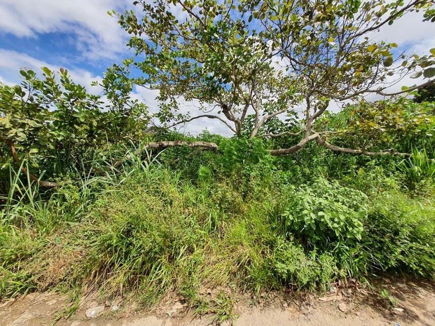 Imagem 6 do Leilão de Terreno - Parque Jk - Luziânia/GO