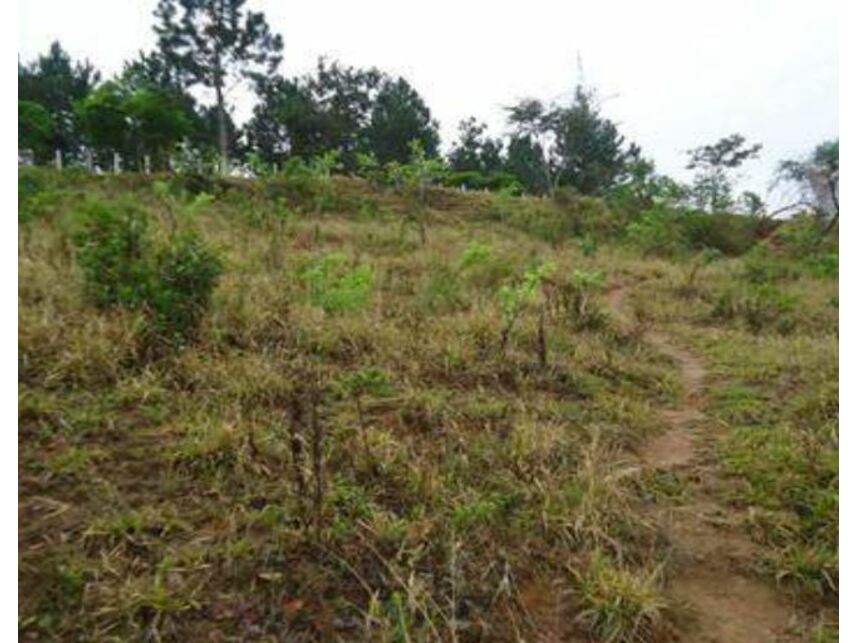 Imagem 7 do Leilão de Terreno - Grogotó - Barbacena/MG