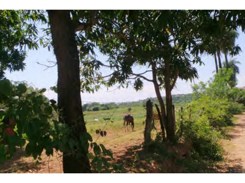 Imagem 1 do Leilão de Terreno - Vila Oliveira - Montes Claros/MG