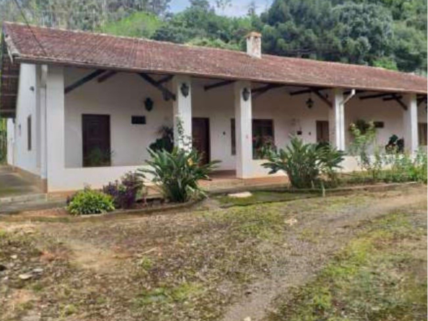 Hacienda Leilões